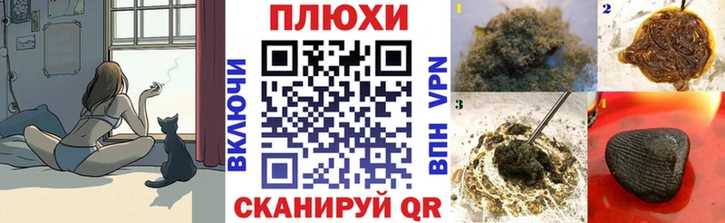 OMG tor Светлогорск ГАШ гашик