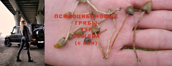 бошки Баксан
