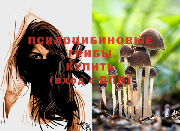 герыч Балахна