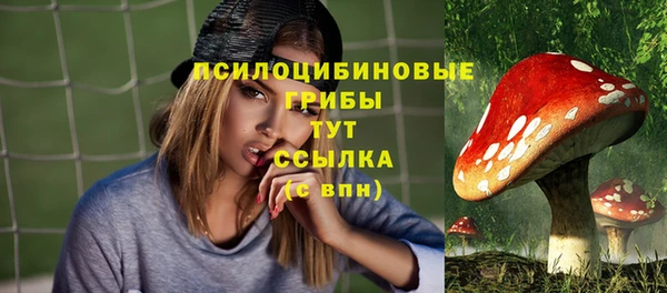 дмт Балабаново